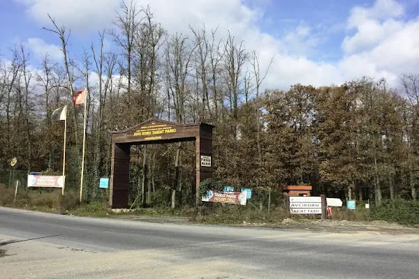 Avcıkoru Tabiat Parkı - Resim 7