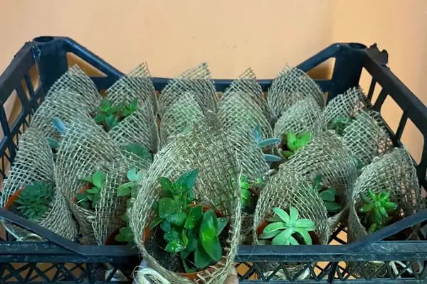 FLOWER ART ÇİÇEK VE ORGANİZASYON - Resim 10