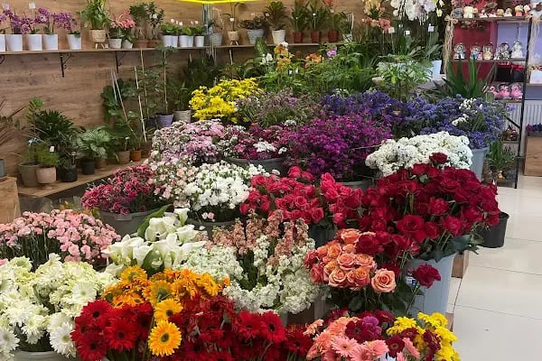 BUCA ÇİÇEKÇİ - POINT FLOWERS - Resim 7