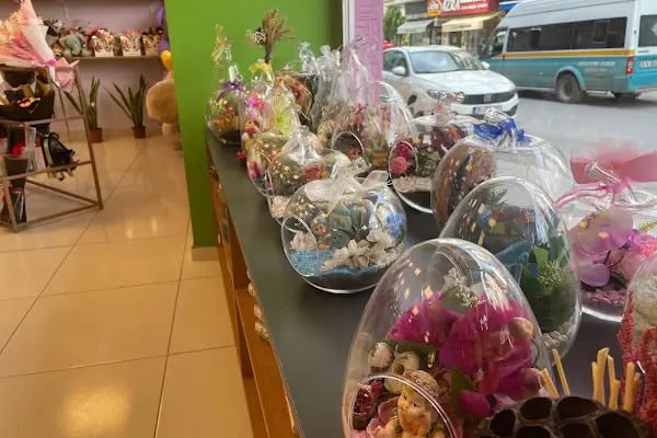 BUCA ÇİÇEKÇİ - POINT FLOWERS - Resim 9