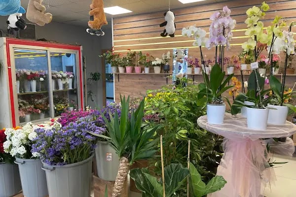 BUCA ÇİÇEKÇİ - POINT FLOWERS - Resim 15