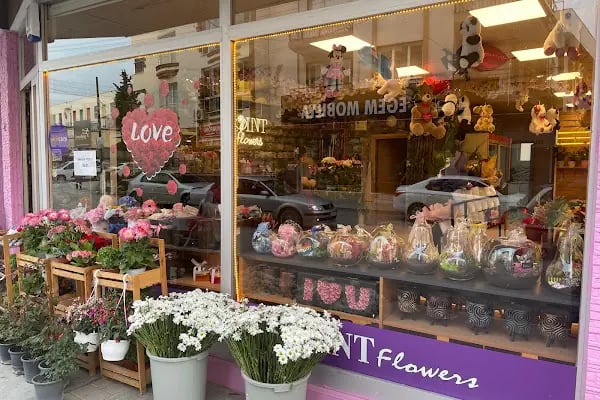 BUCA ÇİÇEKÇİ - POINT FLOWERS - Resim 2