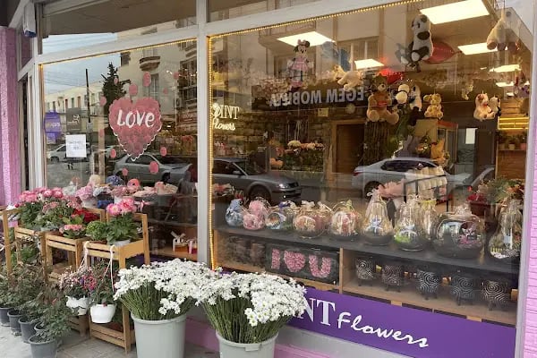 BUCA ÇİÇEKÇİ - POINT FLOWERS - Resim 10