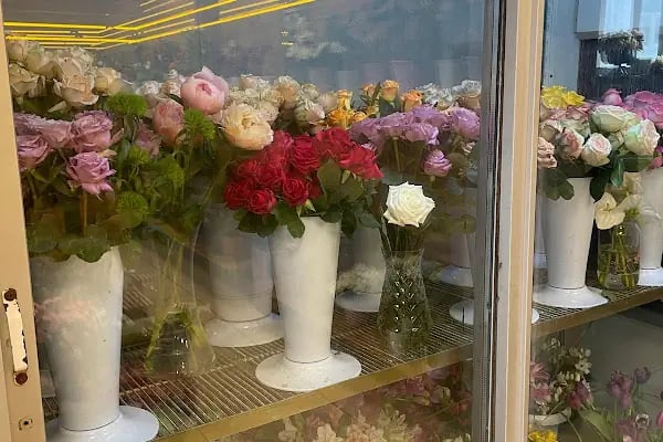 BUCA ÇİÇEKÇİ - POINT FLOWERS - Resim 5