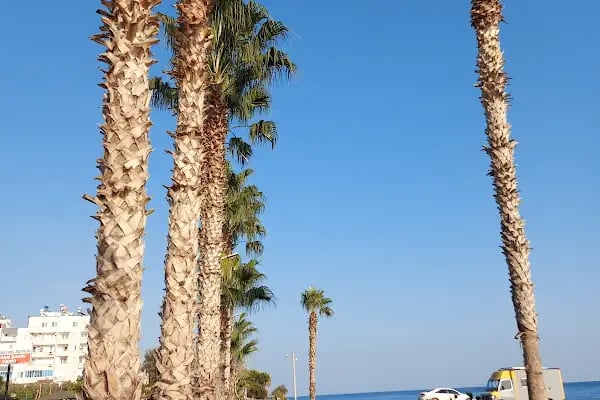 Kocahasanlı Kamp Alanı Halk Plajı - Resim 6