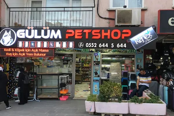 Gülüm Petshop - Resim 4