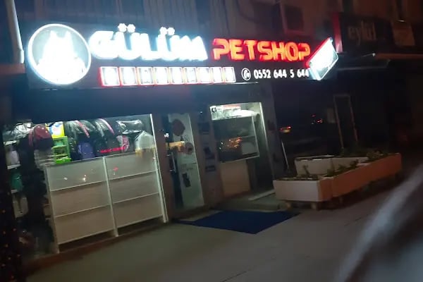 Gülüm Petshop - Resim 7