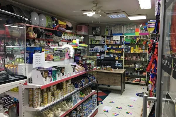 Gülüm Petshop - Resim 2