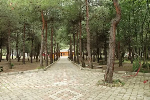 Bayraktepe Tabiat Parkı - Resim 8