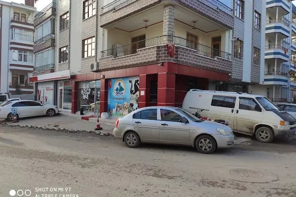 Orkun Veteriner Kliniği - Resim 4