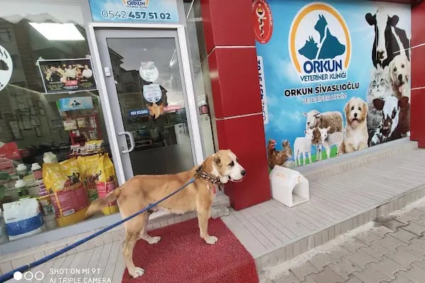 Orkun Veteriner Kliniği - Resim 3