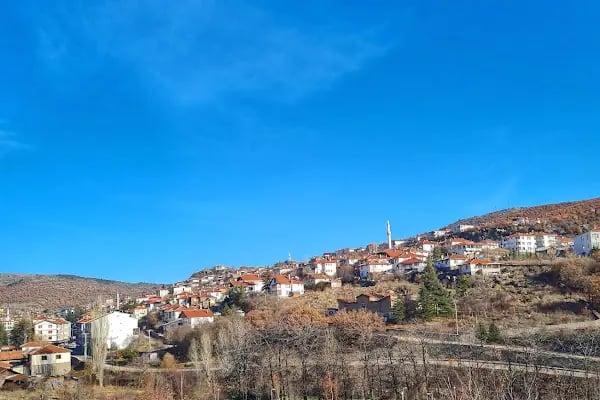 Çamlıdere Semerkand Sofrası - Resim 8