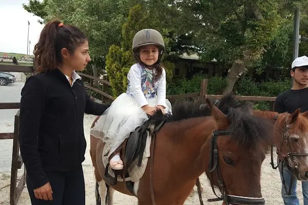 ÖZEL ARNAVUTKÖY UZMAN EĞİTİMCİLER ÖZEL EĞİTİM VE REHABİLİTASYON MERKEZİ - Resim 12
