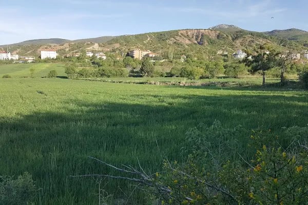 Aydıncık Kaymakamlığı - Resim 18