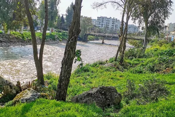 Müftü Cami - Resim 11