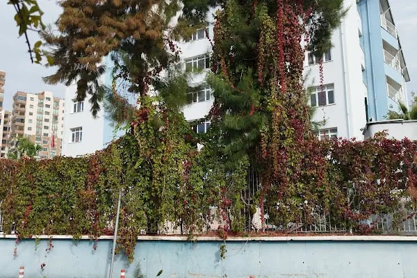 Yüreğir, Ziyapaşa ve Çukurova Vergi Daireleri - Resim 5