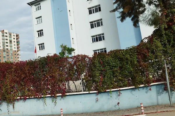 Yüreğir, Ziyapaşa ve Çukurova Vergi Daireleri - Resim 3