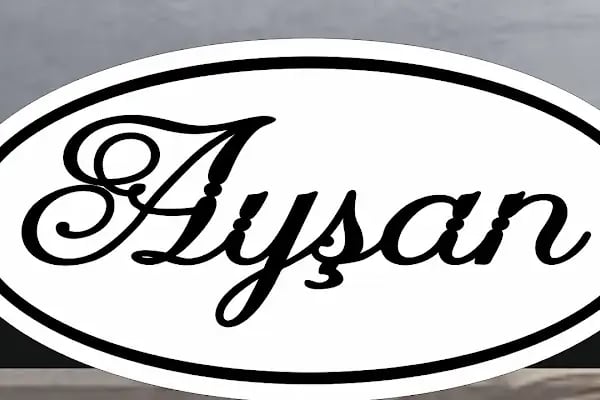 Ayşan Ev Yemekleri - Resim 14