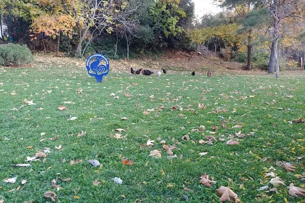 Servergazi Parkı - Resim 16