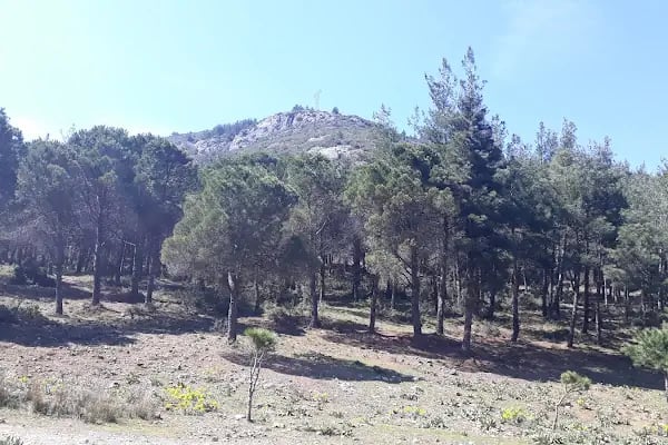 Servergazi Parkı - Resim 14