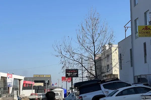 SÜRMELİ GAYRİMENKUL - Resim 3