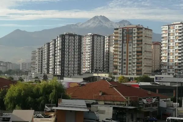 Enliva Hotel - Resim 20