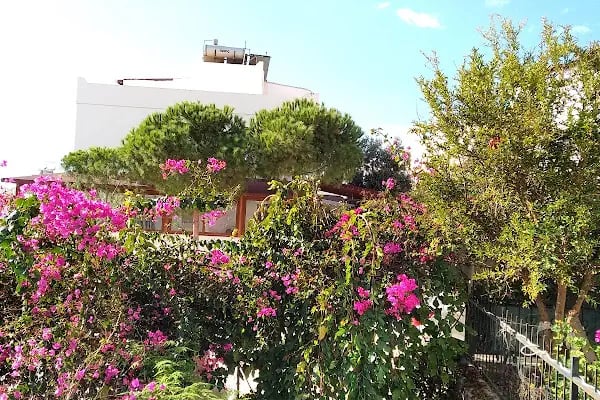 Yeni Ülkü Sitesi - Resim 17