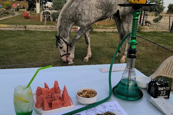 Dede Pony Club Aile At Çiftliği - Resim 3