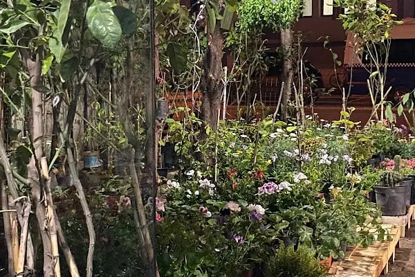 My Garden Çiçek Dünyası - Resim 4