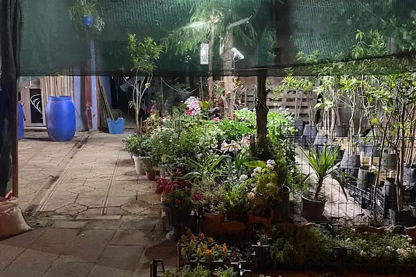 My Garden Çiçek Dünyası - Resim 7