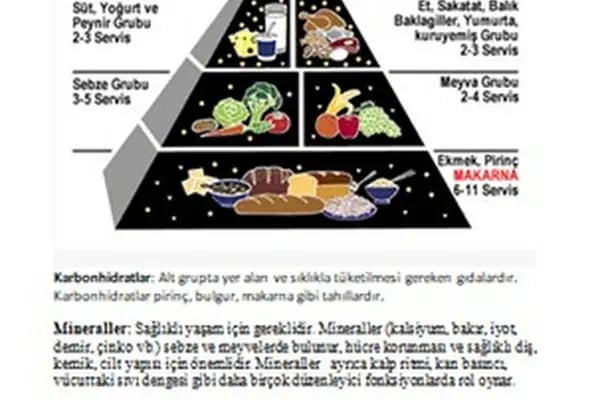 Elif Catering - Resim 14