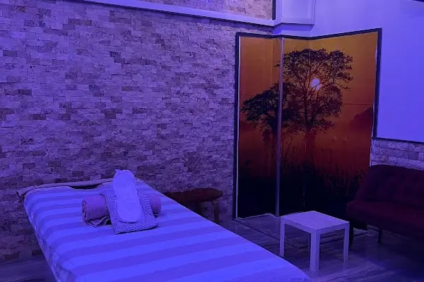Sensei Spa Leman Hotel - Resim 9