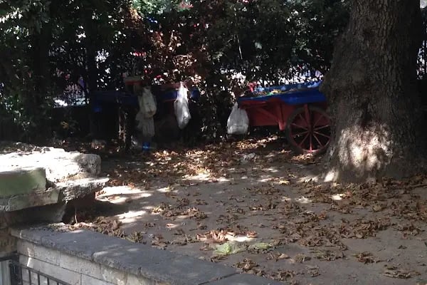 Hidayetin Bağı Parkı - Resim 14