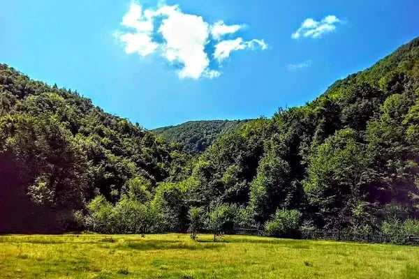 Teşvikiye Erikli Şelasi Arası Kamp - Resim 15