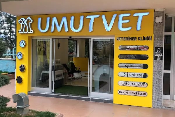 UMUTVET Veteriner Kliniği - Resim 16