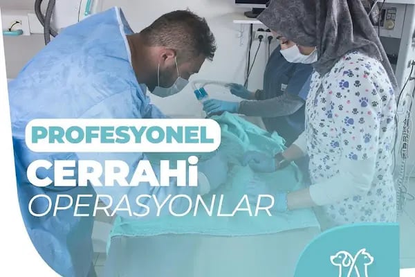 UMUTVET Veteriner Kliniği - Resim 10