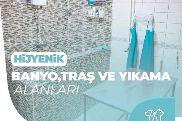 UMUTVET Veteriner Kliniği - Resim 13