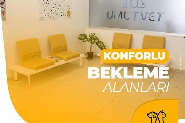UMUTVET Veteriner Kliniği - Resim 9