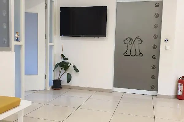 UMUTVET Veteriner Kliniği - Resim 4