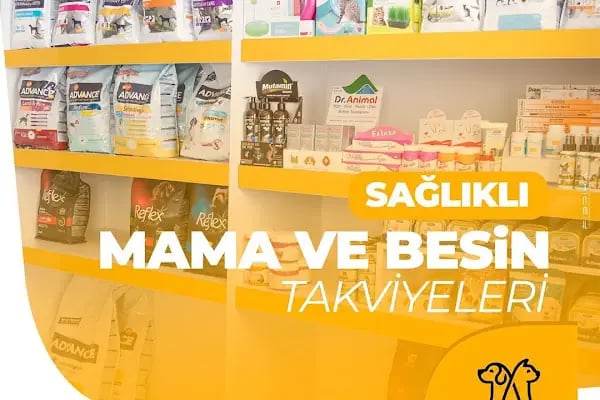 UMUTVET Veteriner Kliniği - Resim 12