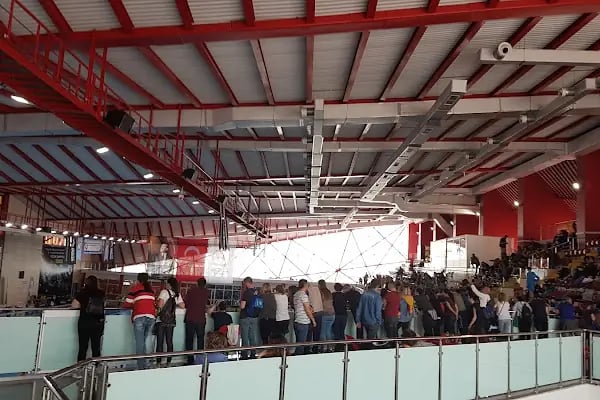 Olimpik Yüzme Havuzu - Resim 4