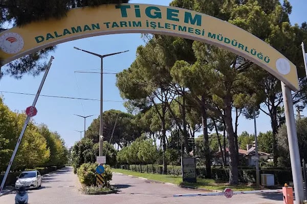 Dalaman Tarım İşletmesi Müdürlüğü - Resim 11