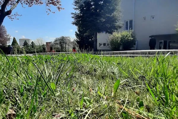 Ankara Üniversitesi Kalecik Meslek Yüksekokulu - Resim 2