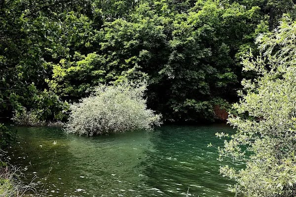 Şevketiye Göleti - Resim 16