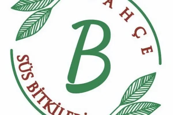 Bahçe Çiçek Süs Bütkileri - Resim 1