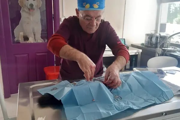Tek İlaç Veteriner Kliniği - Resim 12