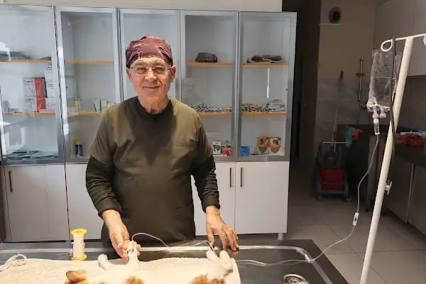 Tek İlaç Veteriner Kliniği - Resim 16