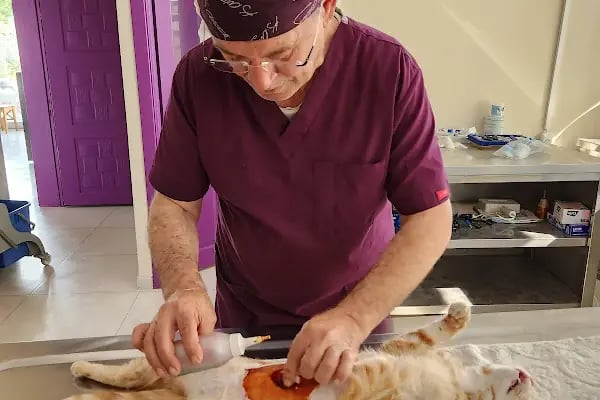 Tek İlaç Veteriner Kliniği - Resim 2