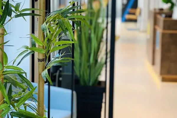 Dentatacity | Gülüş Estetiği | İmplant Tedavisi | Diş Beyazlatma | Zirkonyum | Lamina | Ataşehir - Resim 18
