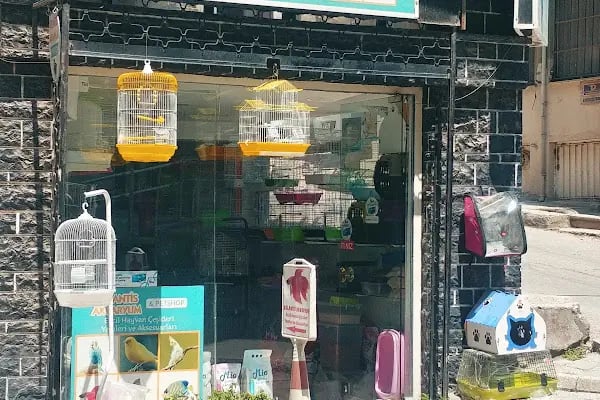 ATLANTİS AKVARYUM VE PETSHOP - Resim 2